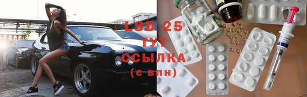 стаф Белоозёрский