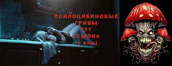 стаф Белоозёрский