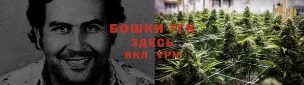 прущие крисы Беломорск