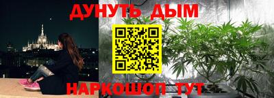 амф Моздок