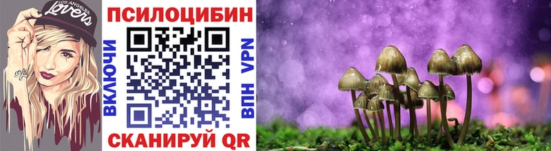 Галлюциногенные грибы прущие грибы  купить  цена  Сланцы 