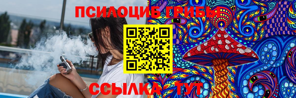 Бошки Шишки Сланцы
