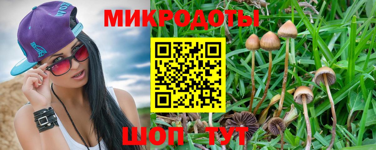 Сланцы  Псилоцибиновые грибы ЛСД  Галлюциногенные грибы мухоморы  Вход с VPN 