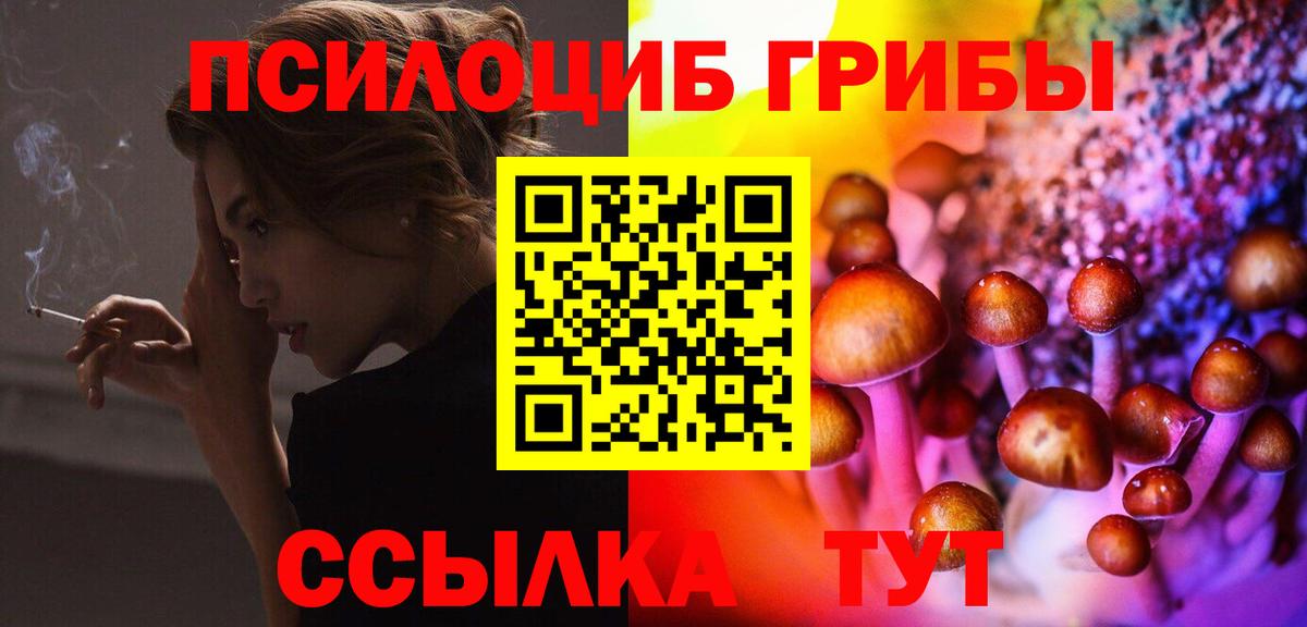 Псилоцибиновые грибы MAGIC MUSHROOMS Сланцы