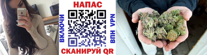 Бошки Шишки THC 21%  закладка  Сланцы 